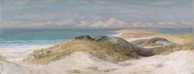 Havsormens tillhåll av Elihu Vedder