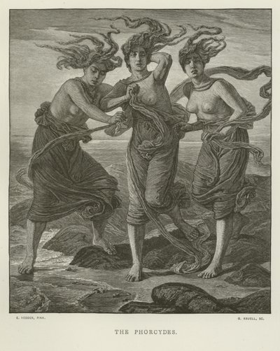 The Phorcydes (gravyr) av Elihu Vedder