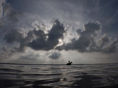 Horse Horizon, 2014 (screentryck) av Elinleticia Högabo