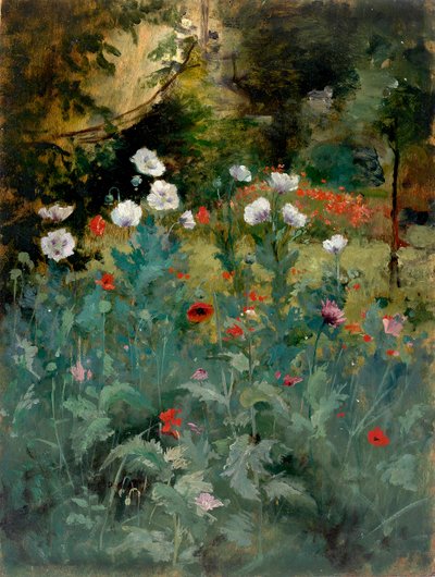 Vallmo av Eliphalet Fraser Andrews