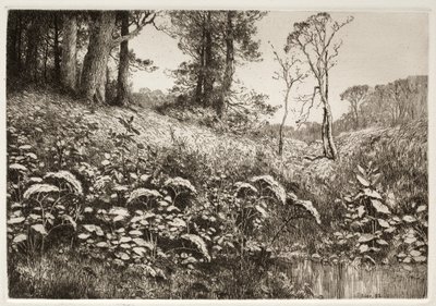 En sommareftermiddag av Elis F. Miller