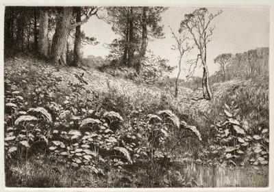 En sommareftermiddag, 1882. av Elis F. Miller