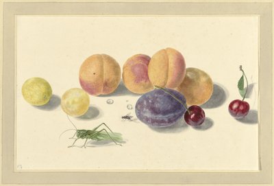 Persikor, plommon, körsbär och två insekter av Elisabeth Geertruida van de Kasteele