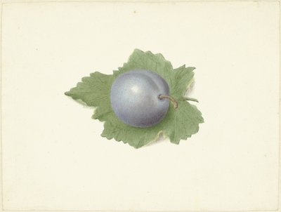 Plommon på ett löv av Elisabeth Geertruida van de Kasteele