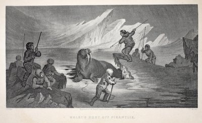 Walrus Hunt off Pikantlik, illustration från "The second Grinnell Expedition in Search of Sir John Franklin...", 1856 av Elisha Kane