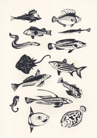 Monotone Plain Fish, 2015 (screenprint) av Eliza Southwood