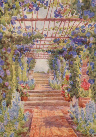 Pergola täckt med blå Ipomoea Learii de Grendel, Tygerberg (färglitografi) av Elizabeth Drake