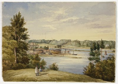 Utsikt från Sydney av Elizabeth Murray