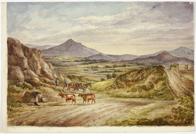 Wicklow Hills av Elizabeth Murray