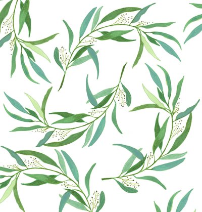 Eucalyptus Leaves, 2018 (akvarell och akryl) av Elizabeth Rider