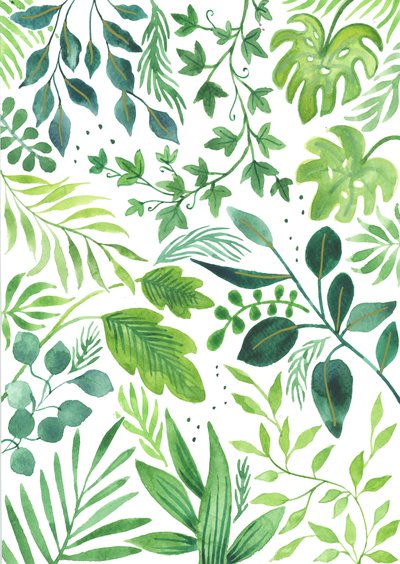 Leafy Medley, 2018 (akvarell) av Elizabeth Rider