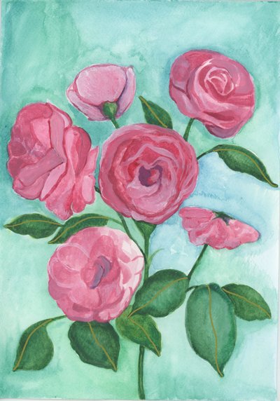 Rosa rosor, 2017 (akvarell) av Elizabeth Rider