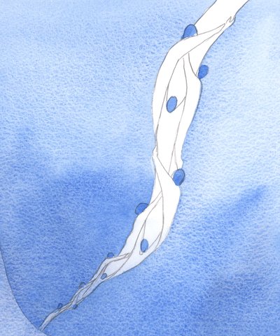 Våra förböner för de heliga själarna i skärselden, i Jesu namn, är som ett rep som drar dem mot himlen, 2002 (w/c på papper) av Elizabeth Wang