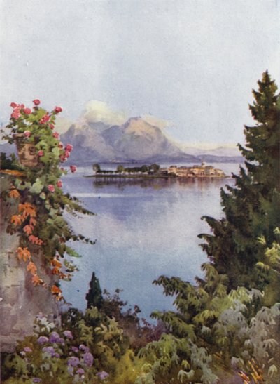 En trädgård vid Baveno, Lago Maggiore (färg litho) av Ella Du Cane