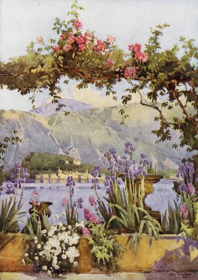 En trädgård vid Cadenabbia, Comosjön (färg litho) av Ella Du Cane