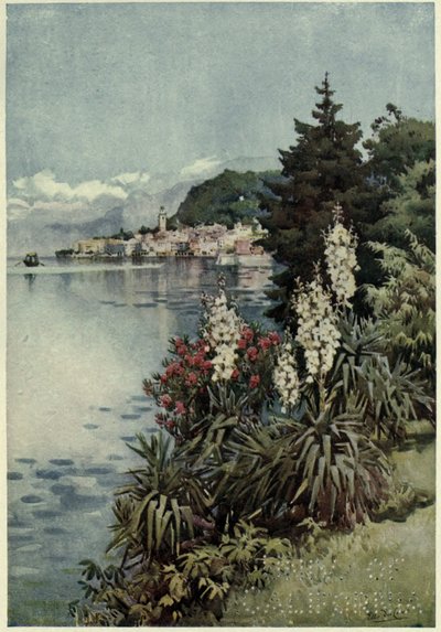 A Group of Yuccas, Villa Melzi, Lago di Como, Illustration från "The Italian Lakes" av Richard Bagot av Ella Du Cane