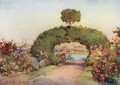 En rosenträdgård i Giza och utsikt över Kairo (färg litho) av Ella Du Cane