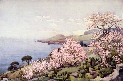 Mandelblom (färg litho) av Ella Du Cane