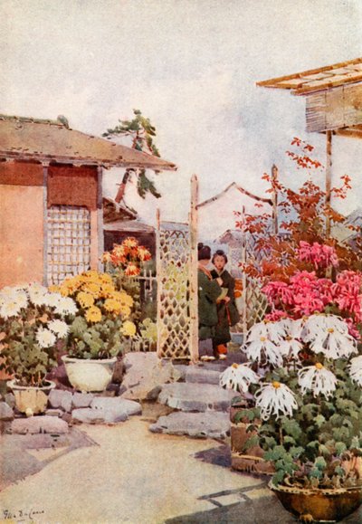 Krysantemum, Kyoto (färg litho) av Ella Du Cane