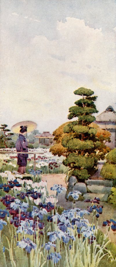 Iris (färg litho) av Ella Du Cane