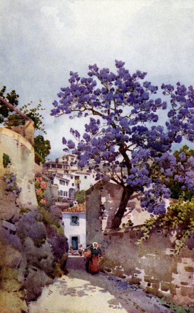 Jacaranda Tree (färg litho) av Ella Du Cane