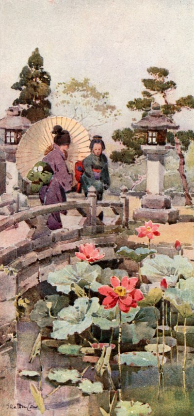 Lotusblommor (färglitografi) av Ella Du Cane