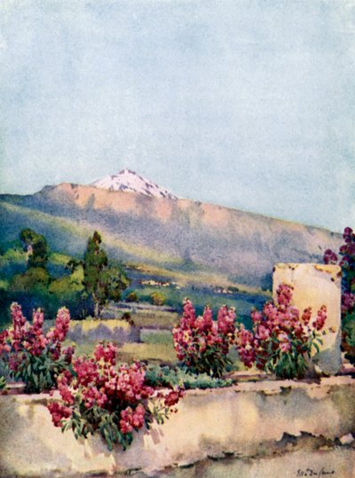 The Peak, från Villa Orotava (färg litho) av Ella Du Cane