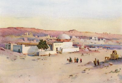 Vägen från Assuan till Shellal (färg litho) av Ella Du Cane