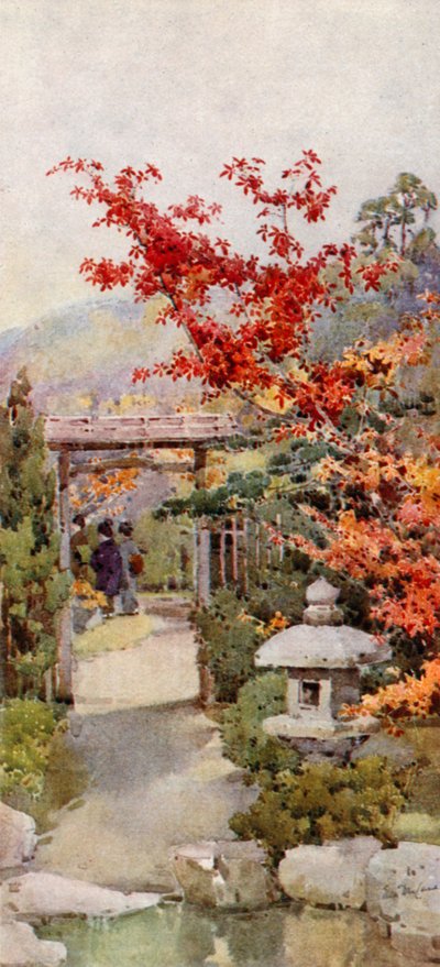 The Scarlet Maple (färg litho) av Ella Du Cane