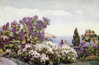 Weigandia och tusenskönor (färg litho) av Ella Du Cane
