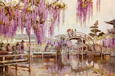 Wistaria, Kameido (färg litho) av Ella Du Cane