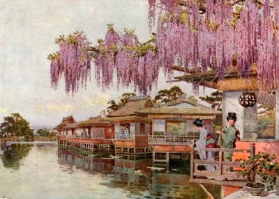 Wistaria, Nagaoka (färglitografi) av Ella Du Cane