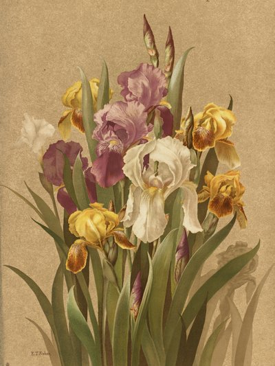 Fleur De Lis, nr 3 av Ellen Thayer Fisher