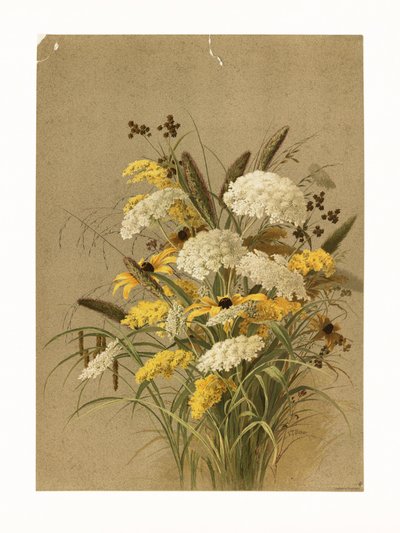 Hemlock, prästkrage och gulsporre av Ellen Thayer Fisher