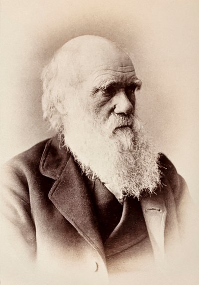 Charles Darwin: engelsk naturforskare av Elliott und Fry Studio