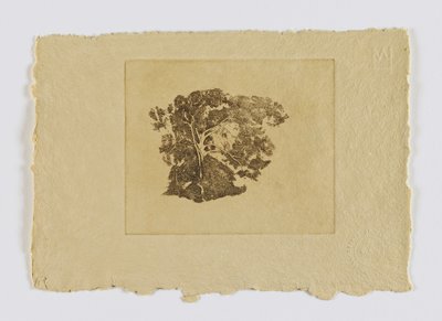 Trädstudie (fm. portfölj) av Emil Carlsen