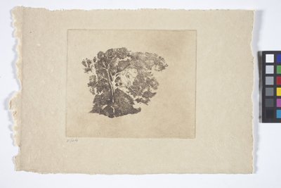 Trädstudie (bläck) av Emil Carlsen