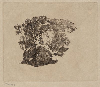 Trädstudie av Emil Carlsen