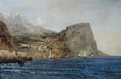Kustlandskap i Dalmatien av Emil Jakob Schindler