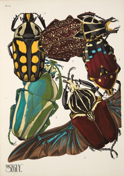 Tallrik 11 från Insectes, pub. 1930-tal (pochoirtryck) av Émile Allain Séguy