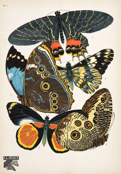 Tallrik 2, från Butterflies, pub. 1925 (stenciltryck) av Émile Allain Séguy
