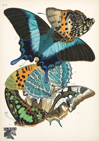 Tallrik 13, från Butterflies, pub. 1925 (stenciltryck) av Émile Allain Séguy