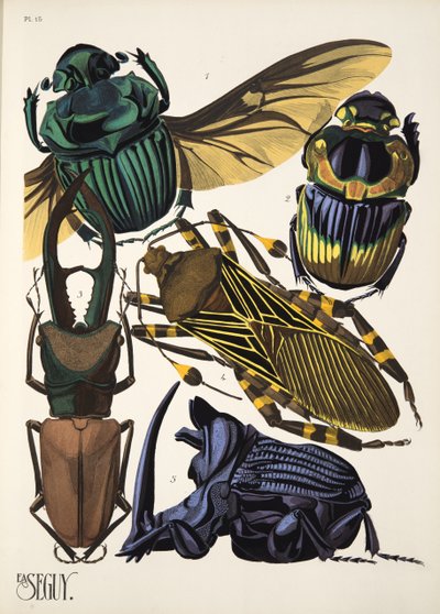 Tallrik 15 från Insectes, pub. 1930-tal (pochoirtryck) av Émile Allain Séguy