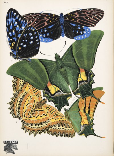 Tallrik 6, från Butterflies, pub. 1925 (stenciltryck) av Émile Allain Séguy