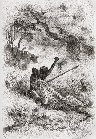 En leopard som attackerar en afrikan, illustration från 