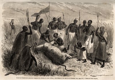 En trollkarl ägnar sig åt magiska operationer på ett slaktat nötkött i Uganda, teckning av Emile Bayard (1837-1891), som illustrerar kapten Spekes upptäcktsresa i Afrika från 1860 till 1863. Gravyr i "" Le tour du monde"", redigerad av Edouard Charton av Emile Antoine Bayard