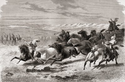 Argentinska gauchos som samlar vilda hästar, illustration från 