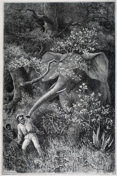 Livingstone överraskad av en elefant i "Le Tour du Monde" av Emile Antoine Bayard
