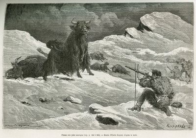 Scen för vild jakjakt, teckning av Emile Bayard för att illustrera resan till Mongoliet och Tangouternas land från 1870 till 1873, av överstelöjtnant Przewalski. Gravyr i Le tour du monde av Emile Antoine Bayard