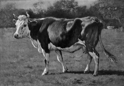 Studie av en ko av Emile van Marcke de Lummen